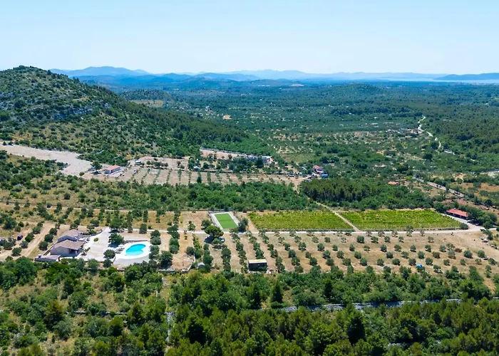 Villa Lavanda Mansion *